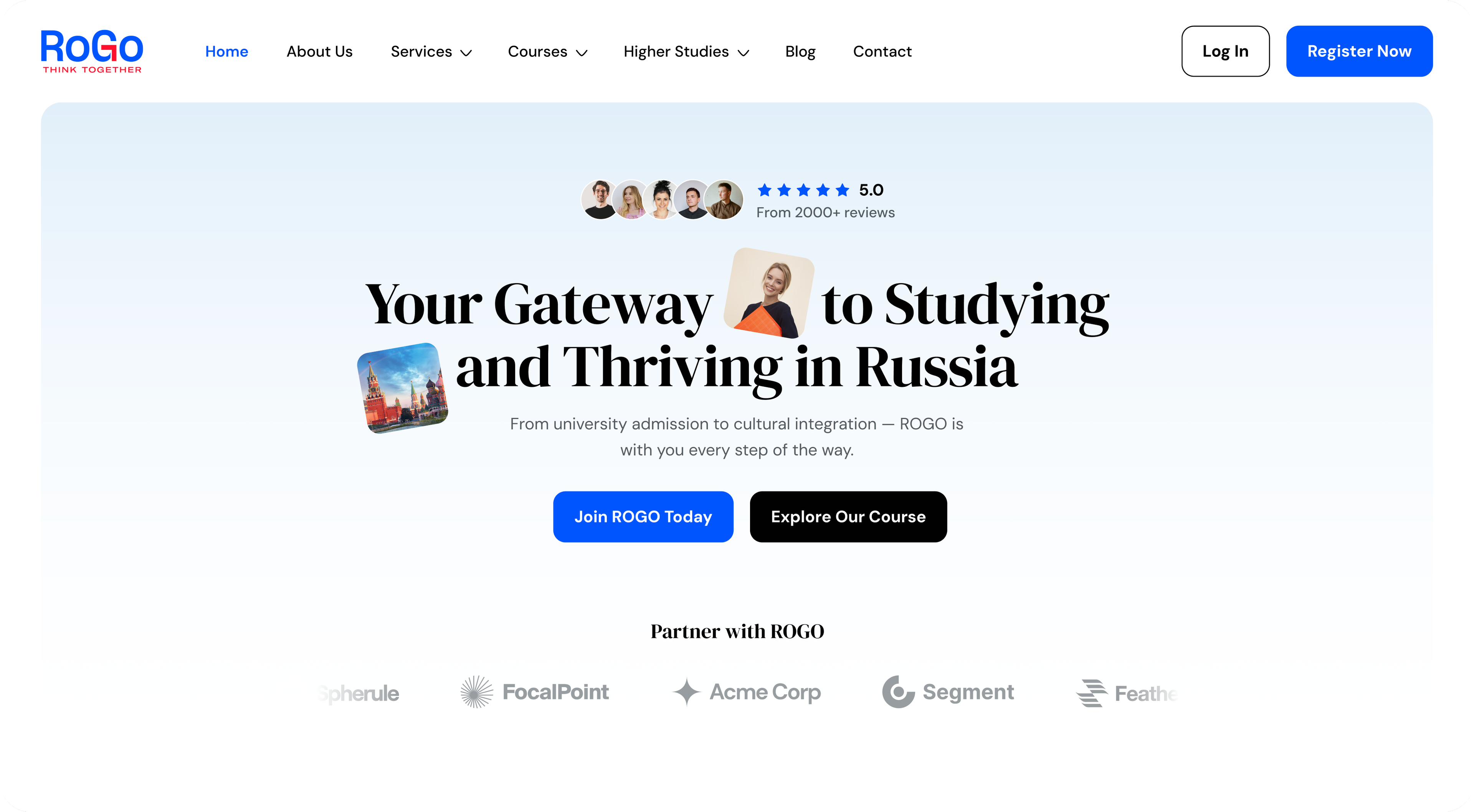 Rogo project preview